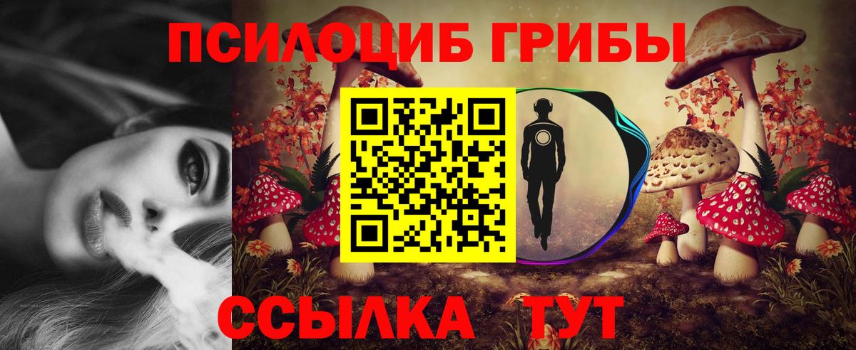Галлюциногенные грибы GOLDEN TEACHER Хабаровск