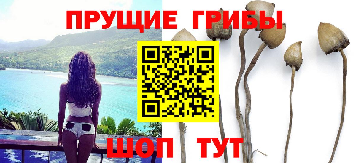 Хабаровск  Галлюциногенные грибы Psilocybe  Галлюциногенные грибы Psilocybine cubensis  Вход с VPN 
